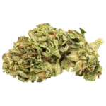 Alien Dawg