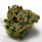 Blue Dream