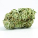 Cannatonic