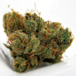 Dutch Treat
