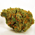 Jack Herer