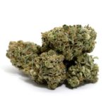 Master Kush