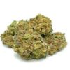 Bruce Banner