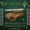 10 benefits of hash in the UK