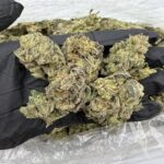 Blueberry Frosty