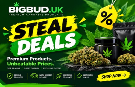 Steal Deals